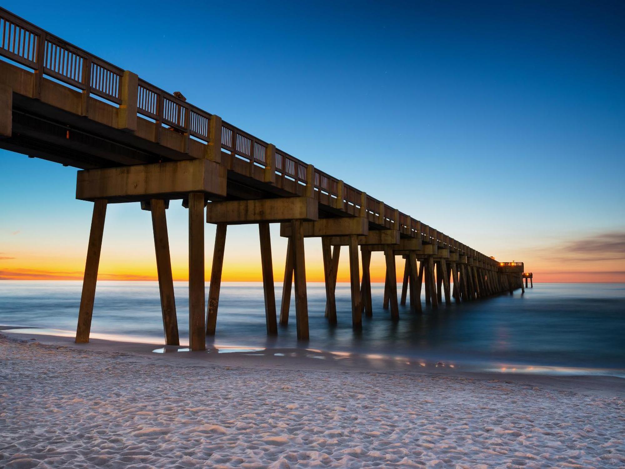 Lion On The Panama City Beach